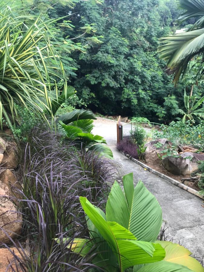 Rock And Palm Lodge Self Catering Appartment Baie Lazare  المظهر الخارجي الصورة